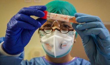 Detectan anticuerpos COVID en sangre y saliva que duran, al menos, tres meses