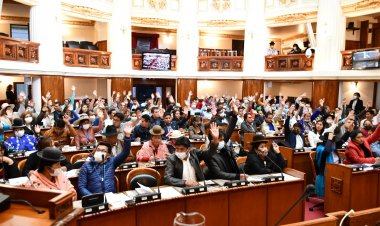 Diputados conforma 12 comisiones, nueve son presididas por el MAS