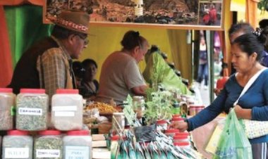 Salud anuncia que incentivará uso de medicina tradicional contra la Covid