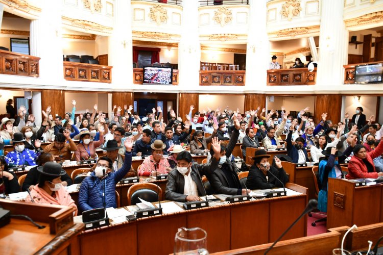 Diputados conforma 12 comisiones, nueve son presididas por el MAS