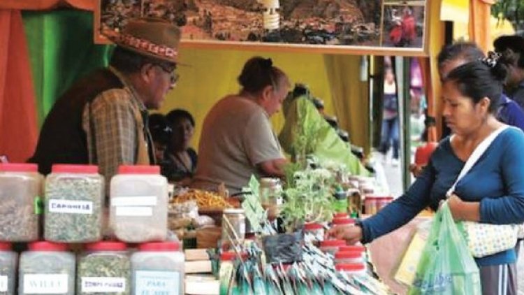 Salud anuncia que incentivará uso de medicina tradicional contra la Covid