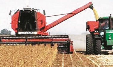 Quitan DS de emprendedores y conservan los de transgénicos