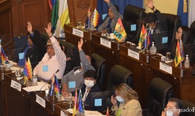 El Senado sanciona la ley para devolver a beneficiarios el 5?compras facturadas