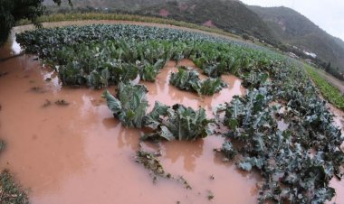 Senamhi emite alerta naranja por intensas lluvias en Tarija y seis departamentos