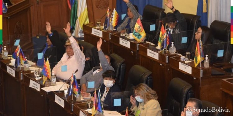 El Senado sanciona la ley para devolver a beneficiarios el 5?compras facturadas