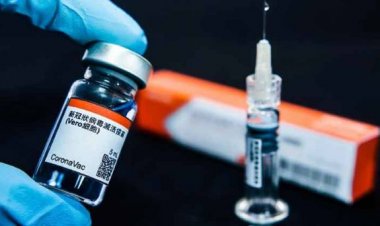 4 gobernaciones y 7 empresas negocian la compra de la vacuna Sinovac