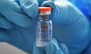 COVID-19: Bolivia, a un paso de cerrar negociaciones con Sinovac y AstraZeneca