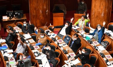 Diputados aprueba crédito de $us 350 MM de la CAF para enfrentar el COVID-19