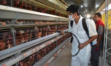 El Gobierno advierte a soyeros con suspender exportaciones si no abastecen al mercado interno