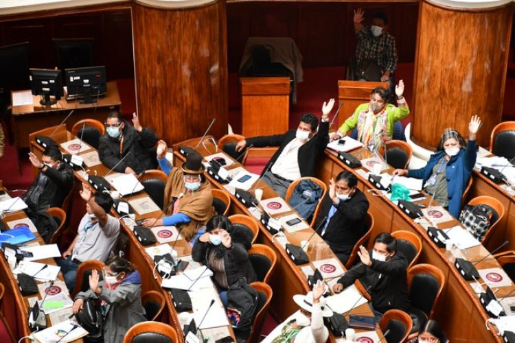 Diputados aprueba crédito de $us 350 MM de la CAF para enfrentar el COVID-19