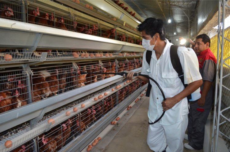 El Gobierno advierte a soyeros con suspender exportaciones si no abastecen al mercado interno