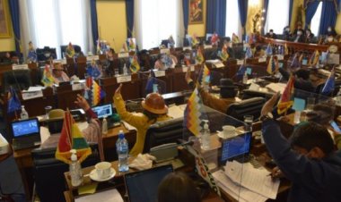 Senado aprueba con modificaciones la Ley de Emergencia Sanitaria y la deriva a Diputados