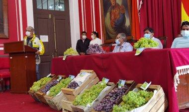 Lanzamiento de Exportación de la Uva de Mesa Tarijeña al Paraguay