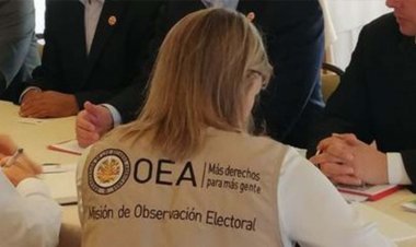 OEA observa lento conteo de votos, plazos de inhabilitación y falta de resultados preliminares