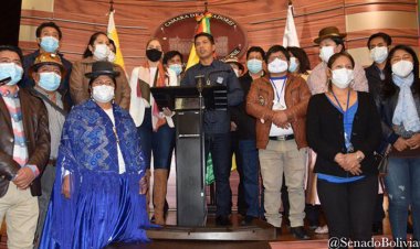 Senado aprueba resolución que rechaza intervencionismo e injerencia de Almagro en Bolivia