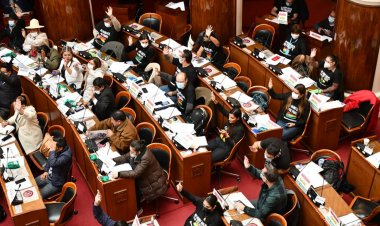En medio de incidentes, el MAS en Diputados aprueba resolución de rechazo a ‘injerencia’ de Almagro