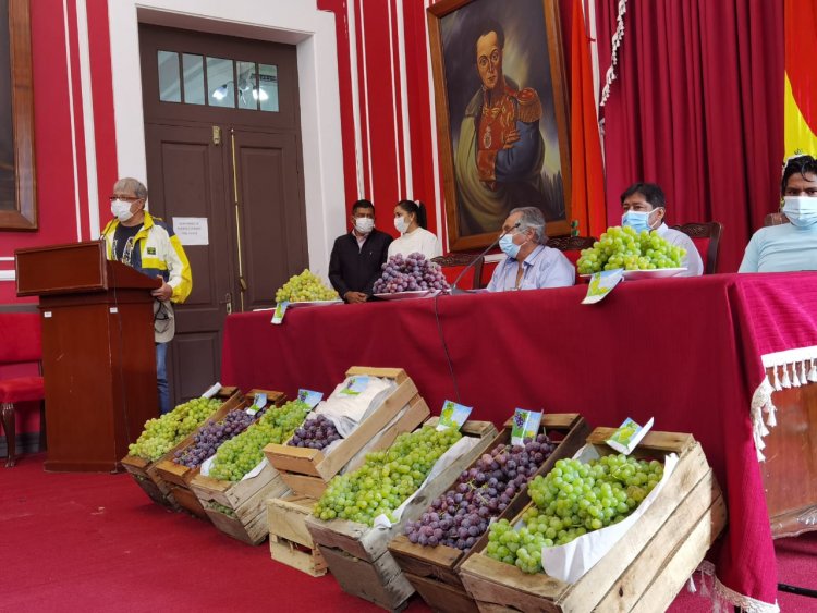 Lanzamiento de Exportación de la Uva de Mesa Tarijeña al Paraguay