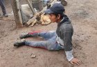 Dueño de finca atropella con su tractor a un boliviano en Mendoza