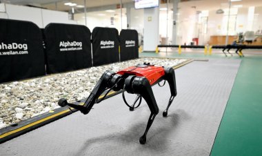 Los perros-robot, el último grito tecnológico en China