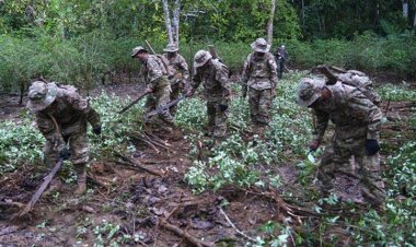 Bolivia en el escenario del rebrote del narco