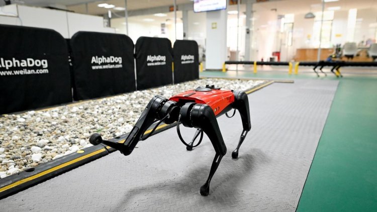 Los perros-robot, el último grito tecnológico en China