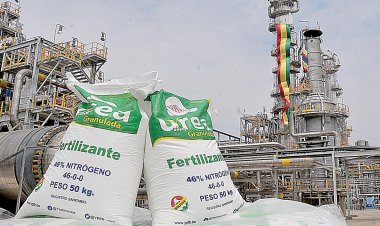 Urea boliviana interesa a 5 países; hay solo la mitad del pedido inicial