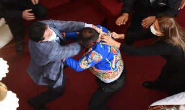 Reglamento prevé hasta 12 meses de suspensión sin salario para asambleístas que pelearon en la ALP