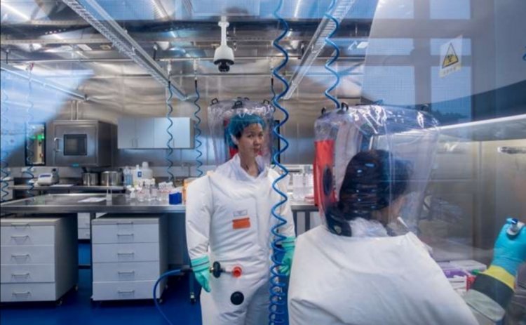 La viróloga de China acusada de crear el coronavirus rompe el silencio
