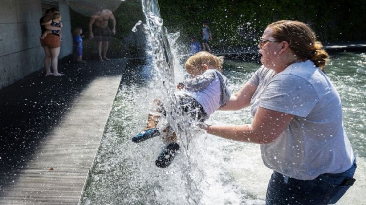 Canadá: Decenas de muertes repentinas en dos días en plena ola de calor en Vancouver
