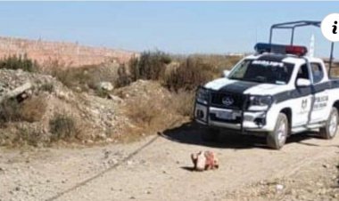 Encuentran el cuerpo de una mujer en plena vía pública en El Alto