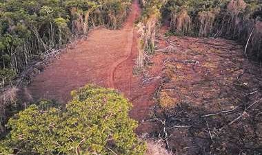 El INRA descarta participar en la Comisión Agraria y asegura que no permitirá asentamientos y tráfico de tierras