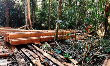 NAVALES DECOMISAN 3.500 PIES DE MADERA ASERRADA