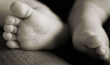 Bebé de siete meses fallece tras caer de una terraza