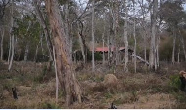 En Santa Cruz, hallan comunidades fantasma y asentamientos en áreas protegidas