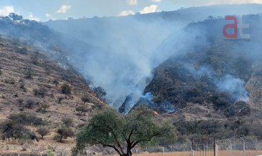 Oportuna labor de bomberos en Tarija evita incendios de Magnitud