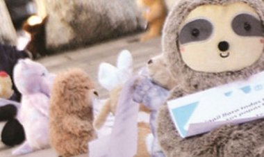 Rosa fue abandonada en la calle luego del feminicidio de su mamá