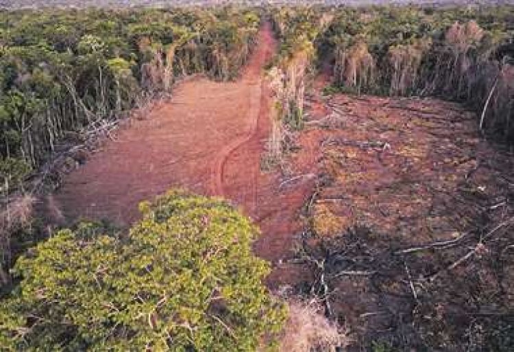 El INRA descarta participar en la Comisión Agraria y asegura que no permitirá asentamientos y tráfico de tierras