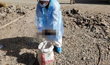 30 años de Cárcel para progenitores que estrangularon a su bebé