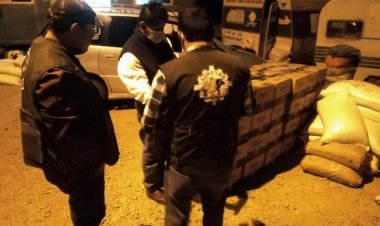 Decomisan frutas, verduras, aceite, pescado y cerveza en las fronteras de Tarija.