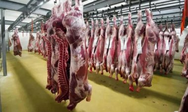 Bolivia exportó más 11 toneladas de carne bovina en lo que va del año