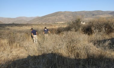 Fiscalía revela que Juliana murió estrangulada y el caso aún se investiga