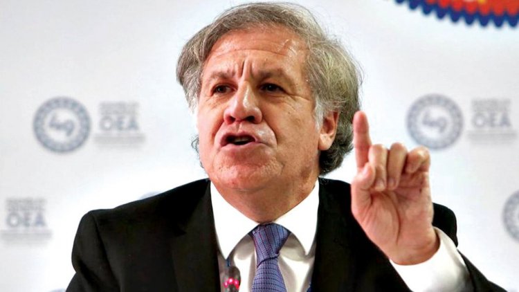 Almagro recuerda que Arce y Richter reconocieron el mandato de Áñez antes que la OEA
