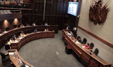 Senado autoriza al BCB a prestar a Economía Bs 15.607MM; Bs 500MM irán a empresas públicas