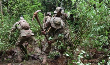 El Gobierno rechaza el informe antidroga de EEUU y denuncia que manipula datos