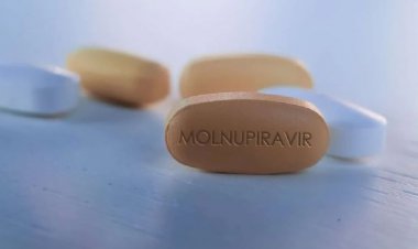 Avanza el desarrollo de la píldora contra la Covid-19: Merck y Pfizer ya realizan ensayos clínicos