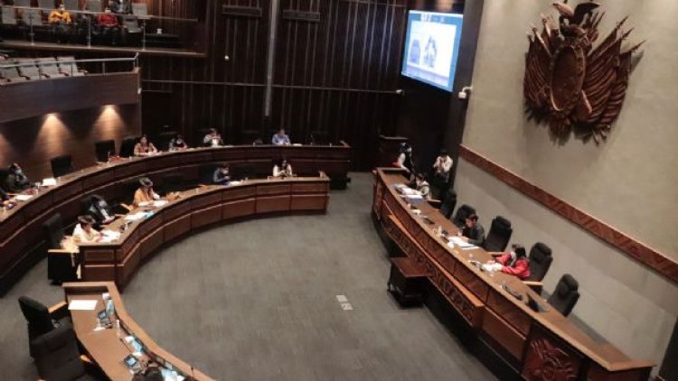 Senado autoriza al BCB a prestar a Economía Bs 15.607MM; Bs 500MM irán a empresas públicas