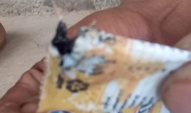 Tras denuncia del hallazgo de un roedor en el yogur, Pil dice que hubo deterioro por mala manipulación