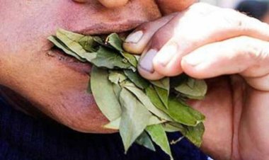 Suben casos de cáncer de cavidad oral y apuntan a ‘bolear’ como una causa