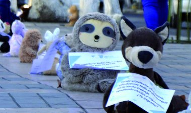 Iglesia lleva a niña embarazada a su albergue; anuncian sanciones