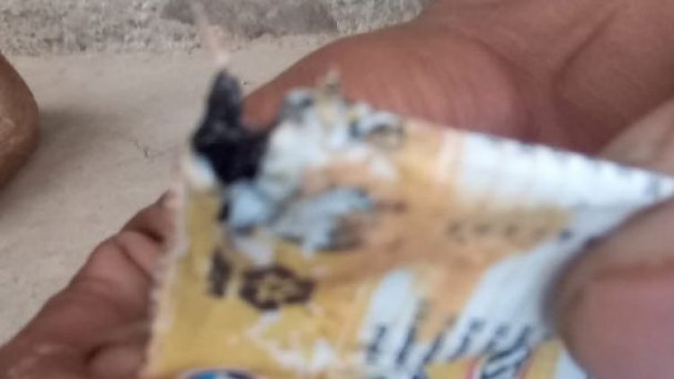 Tras denuncia del hallazgo de un roedor en el yogur, Pil dice que hubo deterioro por mala manipulación